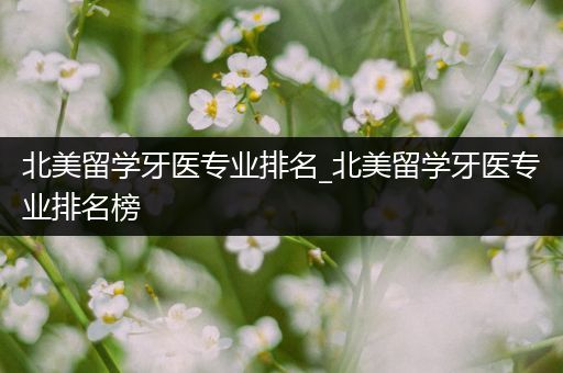 北美留学牙医专业排名_北美留学牙医专业排名榜