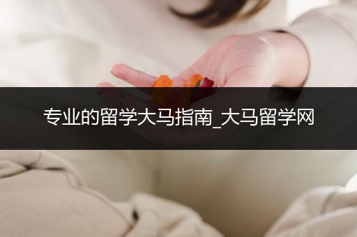专业的留学大马指南_大马留学网