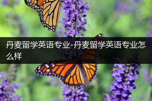 丹麦留学英语专业-丹麦留学英语专业怎么样