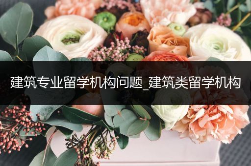 建筑专业留学机构问题_建筑类留学机构