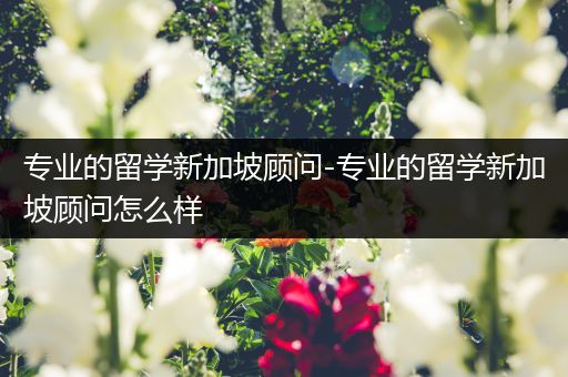专业的留学新加坡顾问-专业的留学新加坡顾问怎么样