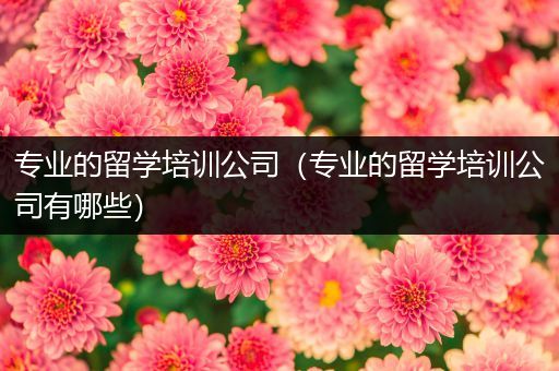专业的留学培训公司（专业的留学培训公司有哪些）