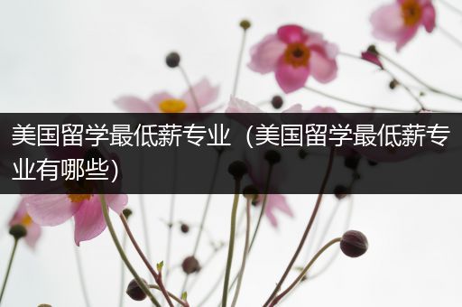 美国留学最低薪专业（美国留学最低薪专业有哪些）