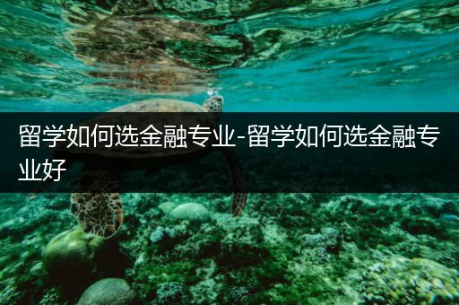 留学如何选金融专业-留学如何选金融专业好